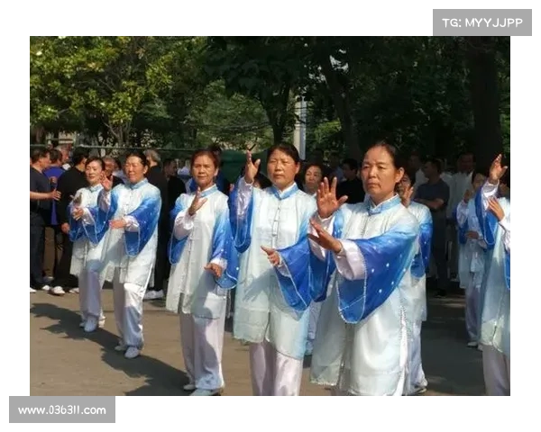 兴安盟老年体协展示42式太极拳彰显老年人深厚武术功底展现健康活力风采